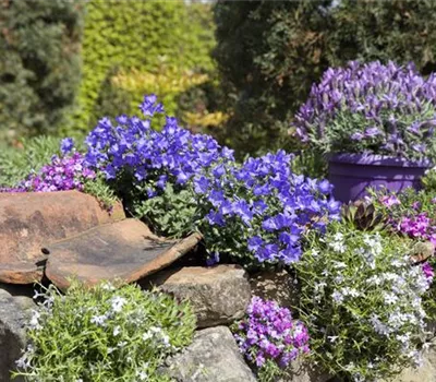 Vom Grünschnabel zum Profi-Gärtner: die perfekte Beetgestaltung 