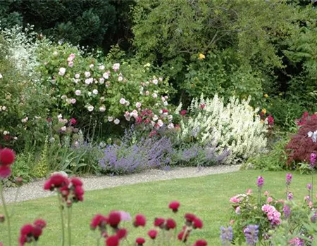 Aller Anfang ist (nicht) schwer - der erste eigene Garten