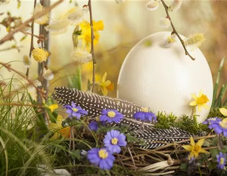 Das Garten-Paradies für Osterhase und Co.