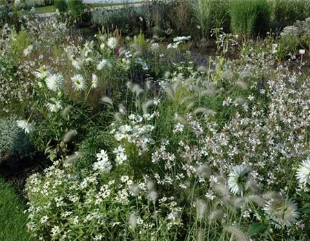 Ganz in Weiß – elegante Gartengestaltung mit Stil