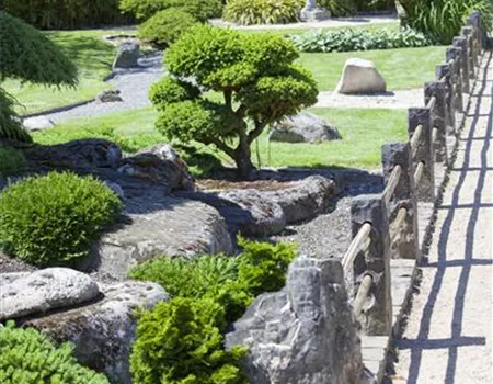 Der Feng-Shui-Garten: botanischer Einklang für die Gesundheit