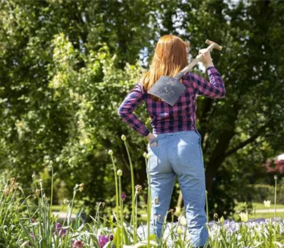 Den Boden fürs Blumenbeet vorbereiten ist der halbe Erfolg
