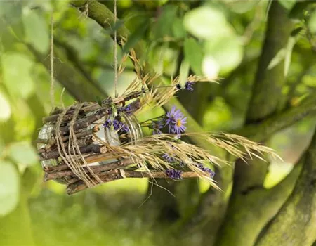 Ein Vogelhaus aus einem Weckglas - gläserner Futter-Stopp für Vögel