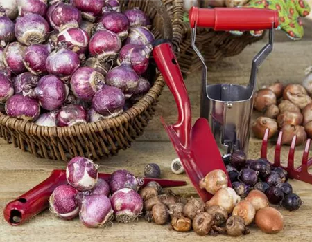 Gartenzubehör – kleine Helfer bei der täglichen Gartenarbeit 