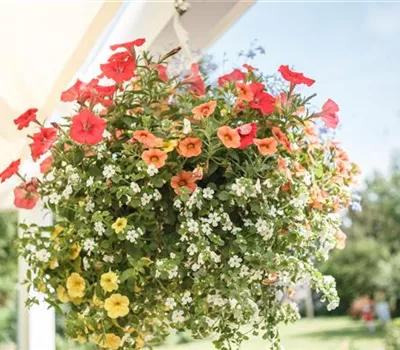 Ausgelaugt: mit Dünger die Reserven wieder auffüllen Ausgelaugt: mit Dünger die Reserven wieder auffüllen