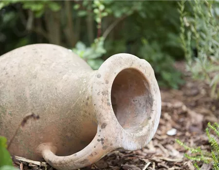 Möchten Sie Ihren Garten umstylen? So geht es ganz schnell 