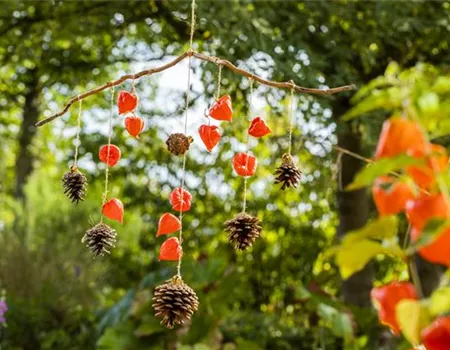 Ein herbstliches Windspiel aus Physalis und Tannenzapfen
