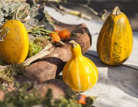 Es wird bunt! Herbst-Deko im Haus