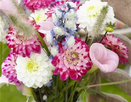 Beauty-Kur für den Blumenstrauß: Pülverchen und Hausmittel Beauty-Kur für den Blumenstrauß: Pülverchen und Hausmittel