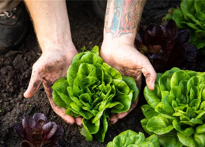 Partnerfirmen Partnerfirmen