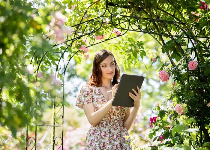 Filmbeiträge Filmbeiträge