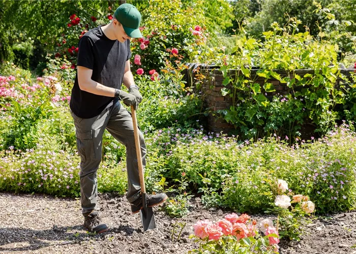 Ausbildung Ausbildung