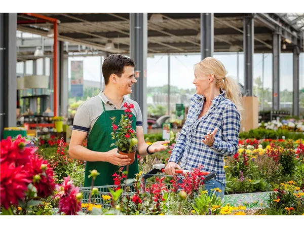 Ausbildung zum Pflanzenfachberater/in in der GartenBaumschule Hau