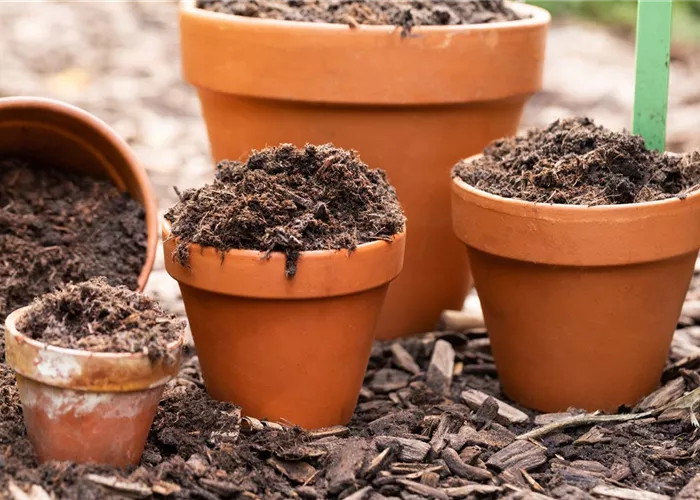 Blumenerde Blumenerde