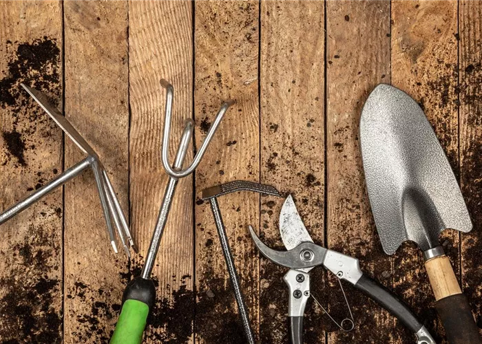 Werkzeuge & nützliche Geräte Werkzeuge & nützliche Geräte