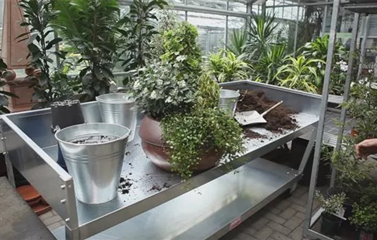 Blumenkübel - Dauerhafte Bepflanzung Blumenkübel - Dauerhafte Bepflanzung