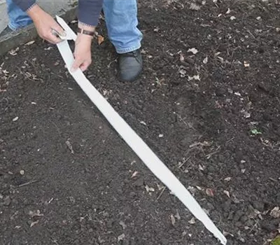 Blumen - Auslegen von Saatbändern Blumen - Auslegen von Saatbändern