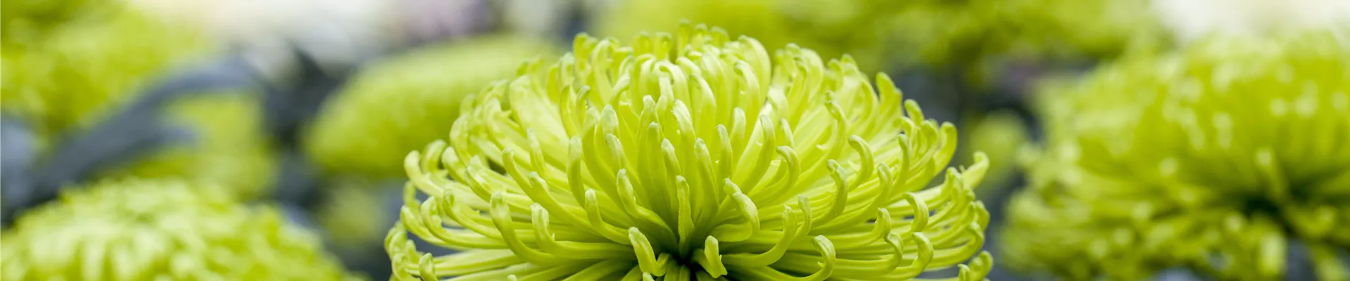 Überuns_Profil_header Überuns_Profil_header