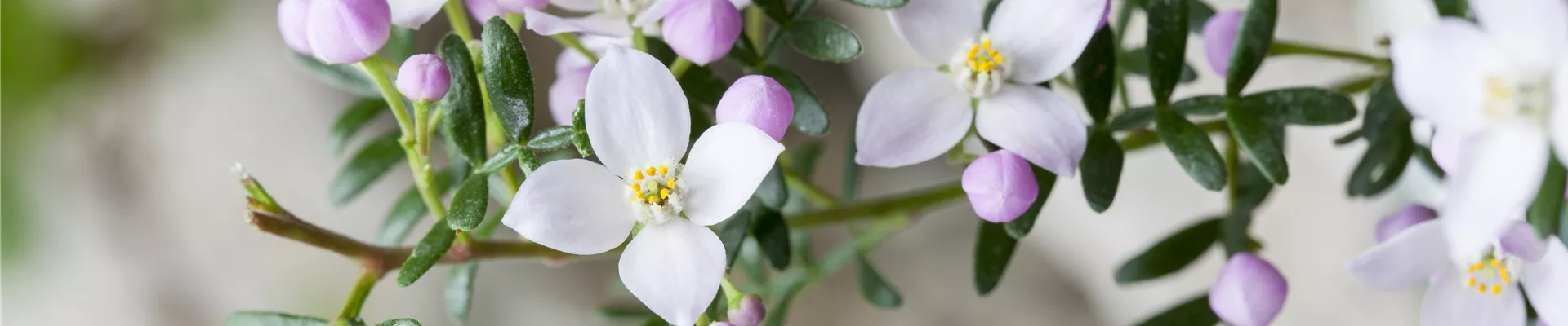 Überuns_Team_Headerbild Überuns_Team_Headerbild