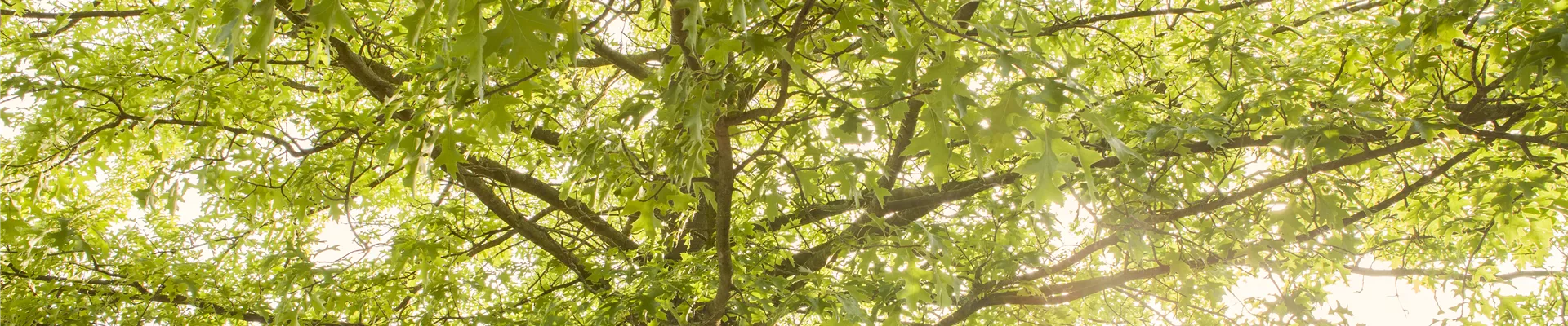 Überuns_Ausbildung_Header