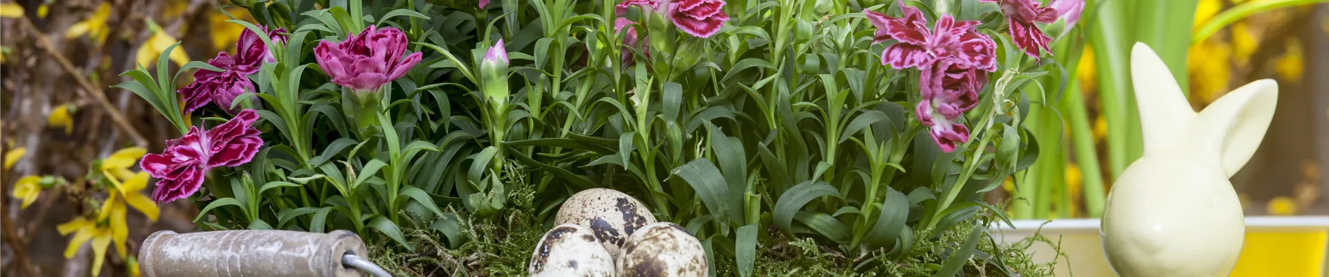 Hartware_Töpfe_und_Dekoartikel_Header Hartware_Töpfe_und_Dekoartikel_Header