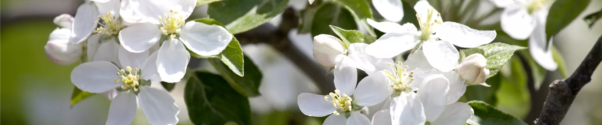 Hartware_Dünger_Header Hartware_Dünger_Header