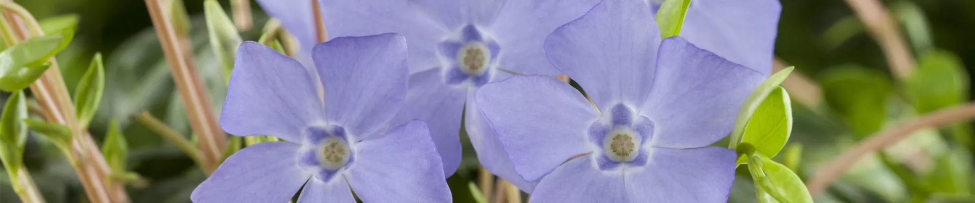 Hartware_Werkzeuge_und_nützliche_Geräte_Header_klein Hartware_Werkzeuge_und_nützliche_Geräte_Header_klein