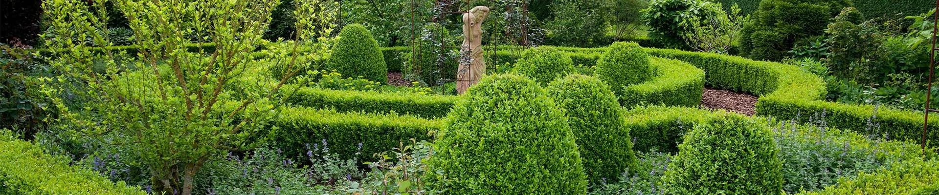 Dienstleistungen_Gartenplanung_Header Dienstleistungen_Gartenplanung_Header