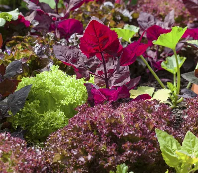 In Landlust schwelgen