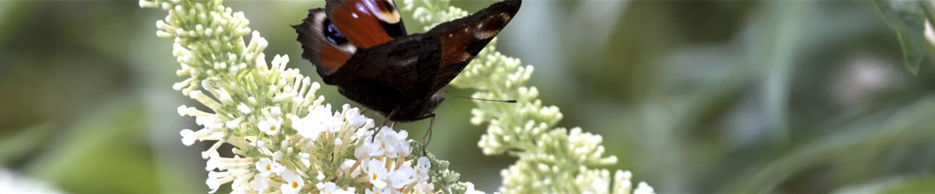 Hartware_Schalk_exklsuiv_Keramik_Header_klein Hartware_Schalk_exklsuiv_Keramik_Header_klein