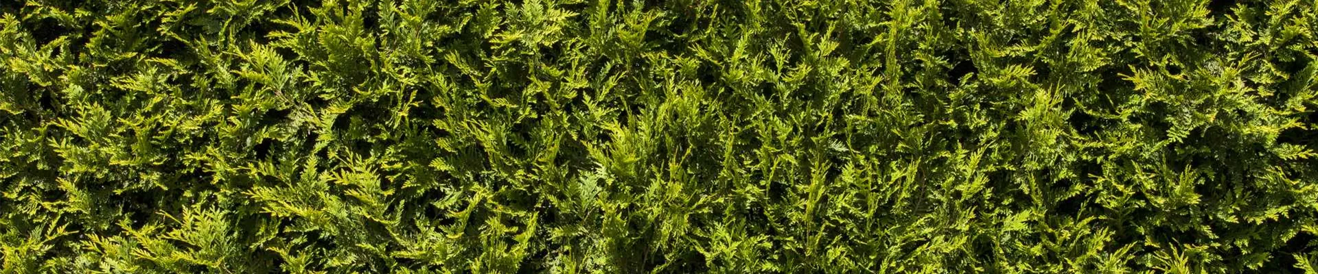 Events_Header_klein Events_Header_klein