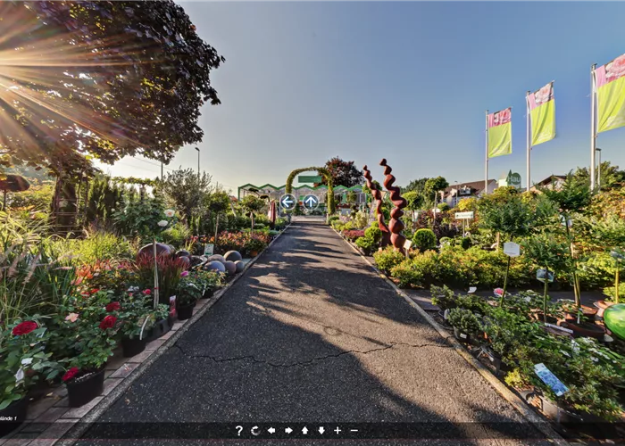 Virtueller Rundgang Virtueller Rundgang