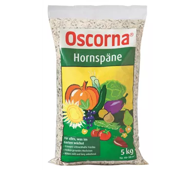 Hornspäne Hornspäne