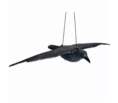 Siena Garden Vogelabwehr Rabe, 82 cm anthrazit, Kunstoff  Siena Garden Vogelabwehr Rabe, 82 cm anthrazit, Kunstoff