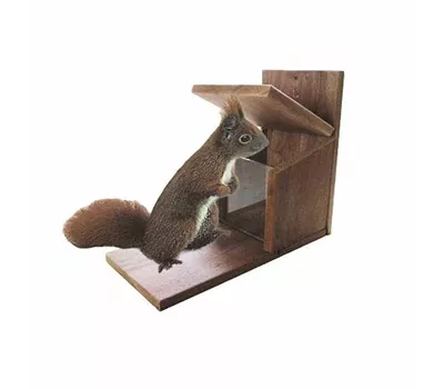 AP.HOSS Futterstation Eichhörnchen 27 cm AP.HOSS Futterstation Eichhörnchen 27 cm