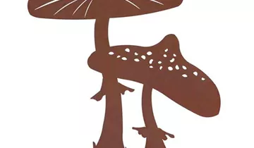 Fliegenpilz