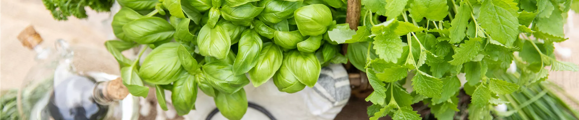 Korb mit diversen Kräutern