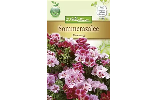 Atlasblumensamen Atlasblumensamen