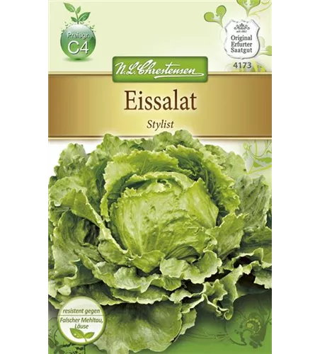 Eisbergsalatsamen 'Stylist'