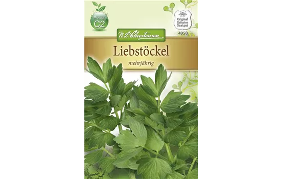 Liebstöckelsamen Liebstöckelsamen