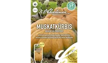 Cucurbita moschata 'Muscat de Provence'