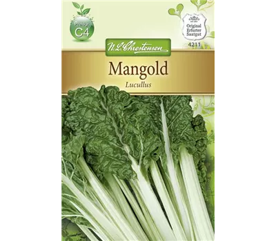 Mangoldsamen 'Lucullus' Mangoldsamen 'Lucullus'