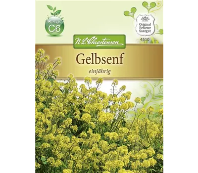 Gelbsenfsamen Gelbsenfsamen