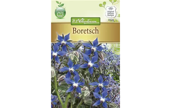 Borretschsamen Borretschsamen