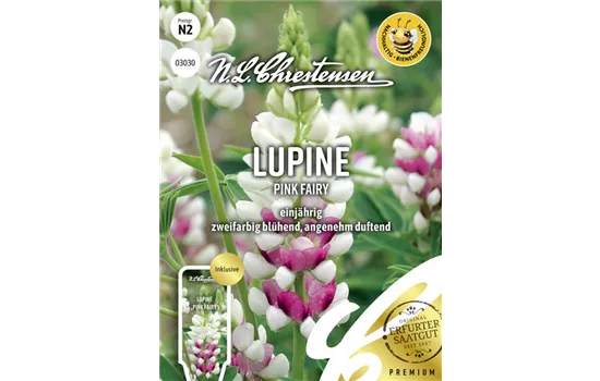 Lupinensamen 'Pink Fairy'