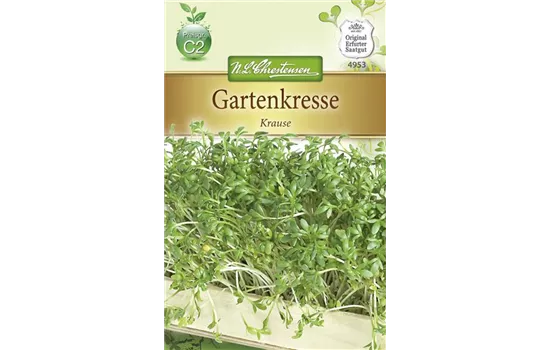 Kressesamen 'Krause' Kressesamen 'Krause'