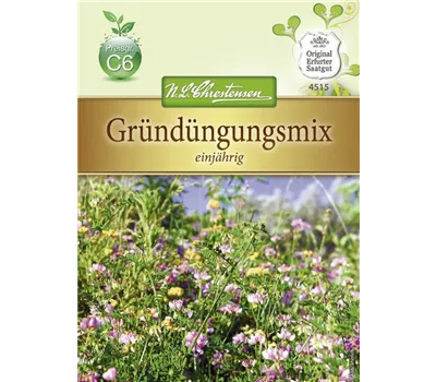 Gründungsmix-Samen Gründungsmix-Samen