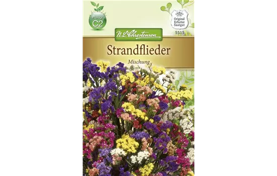 Geflügelter Strandfliedersamen Geflügelter Strandfliedersamen