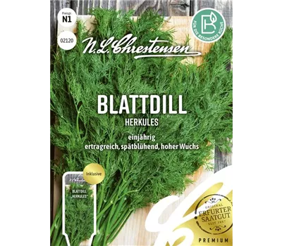 Dillsamen 'Herkules' Dillsamen 'Herkules'