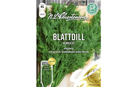 Dillsamen 'Herkules' Dillsamen 'Herkules'